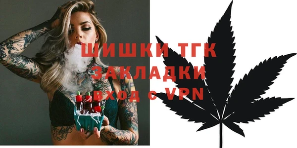 дмт Арсеньев
