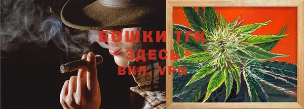 дмт Арсеньев