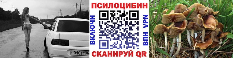 Псилоцибиновые грибы Magic Shrooms  Суоярви 